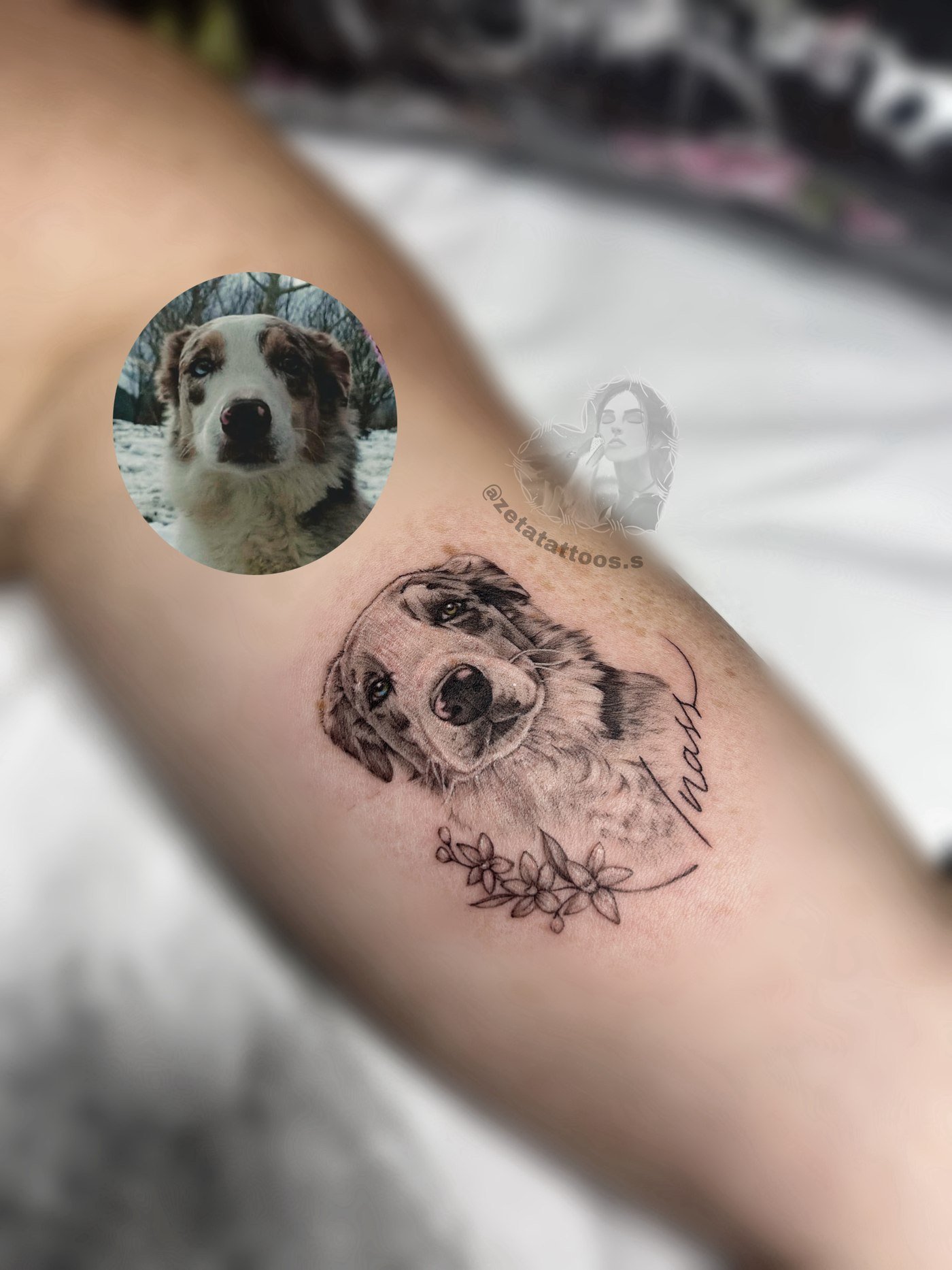 Retrato de perro con foto de referencia y flores