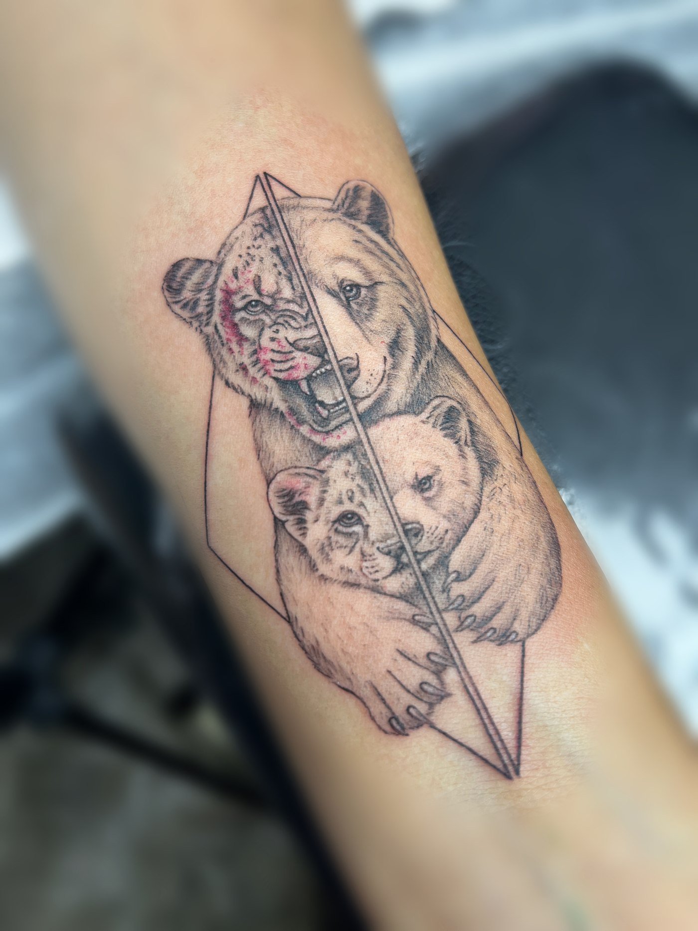 Leona y cachorro en geométrico