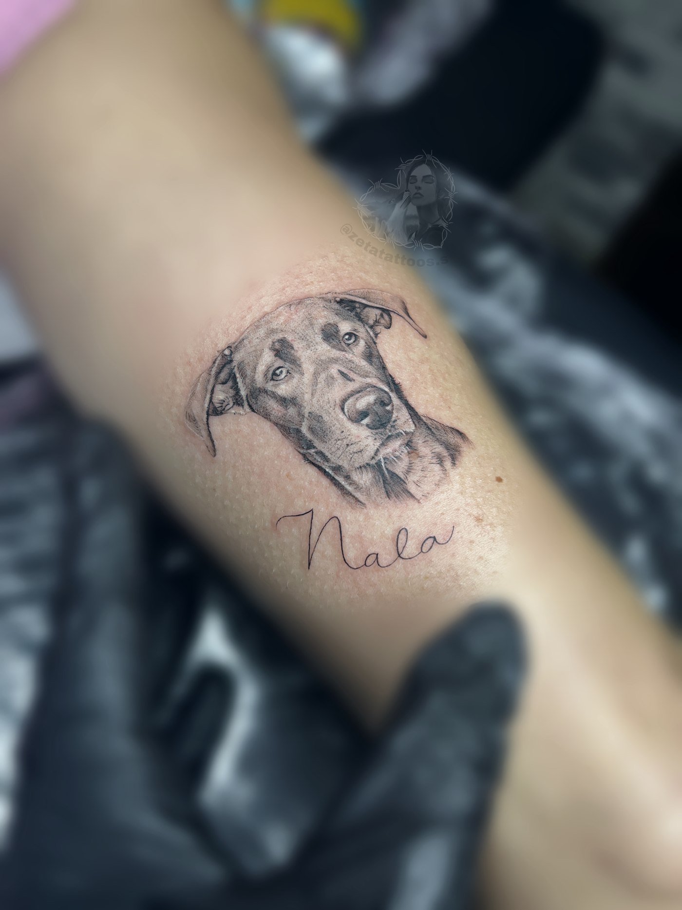 Nala en microrrealismo