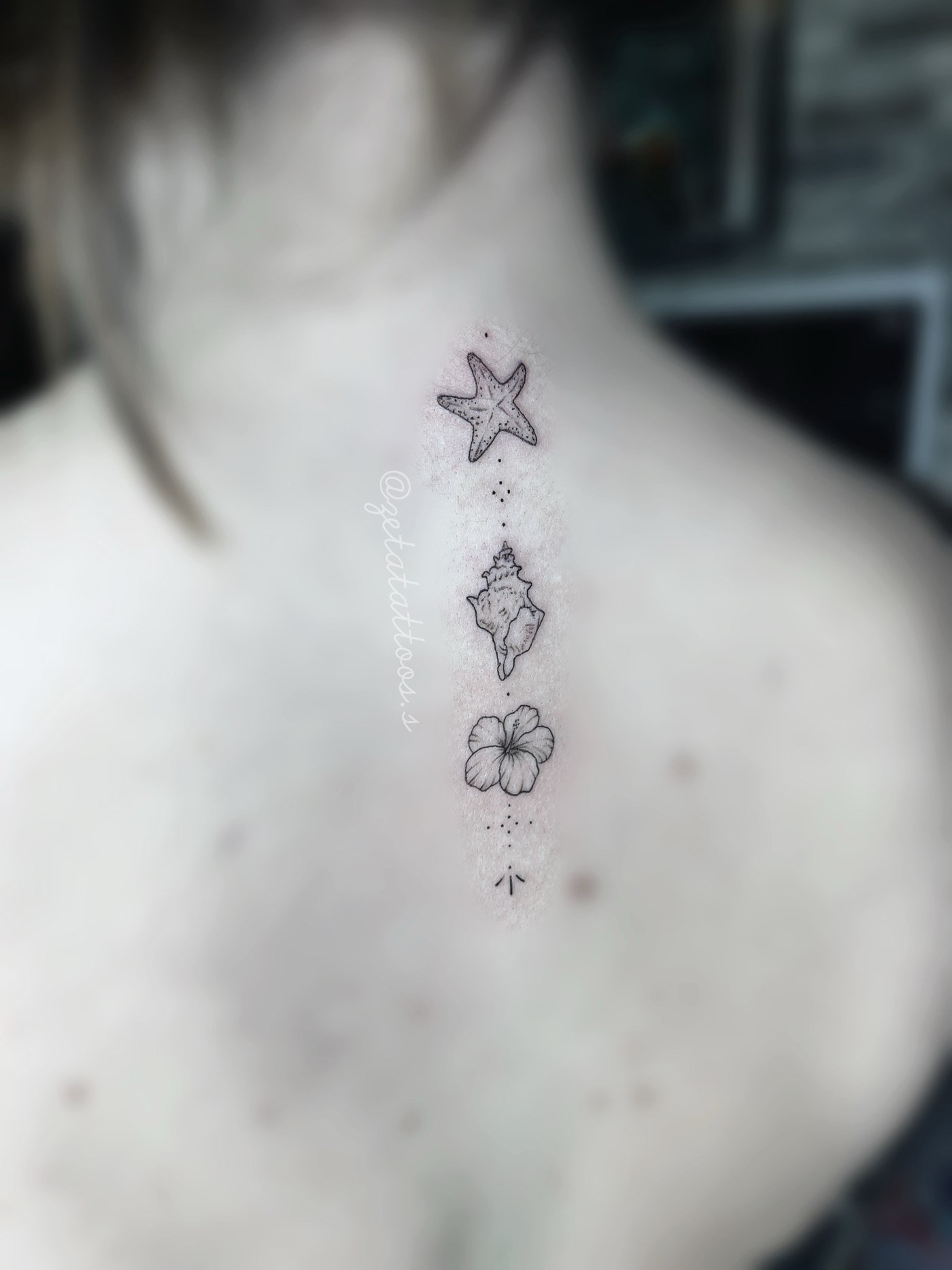 Estrella de mar, caracola y flor