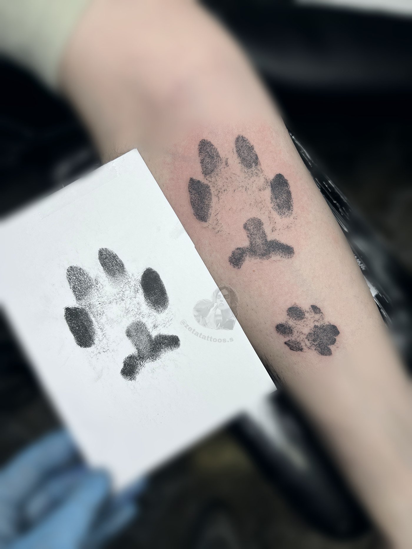 Huellas de perro