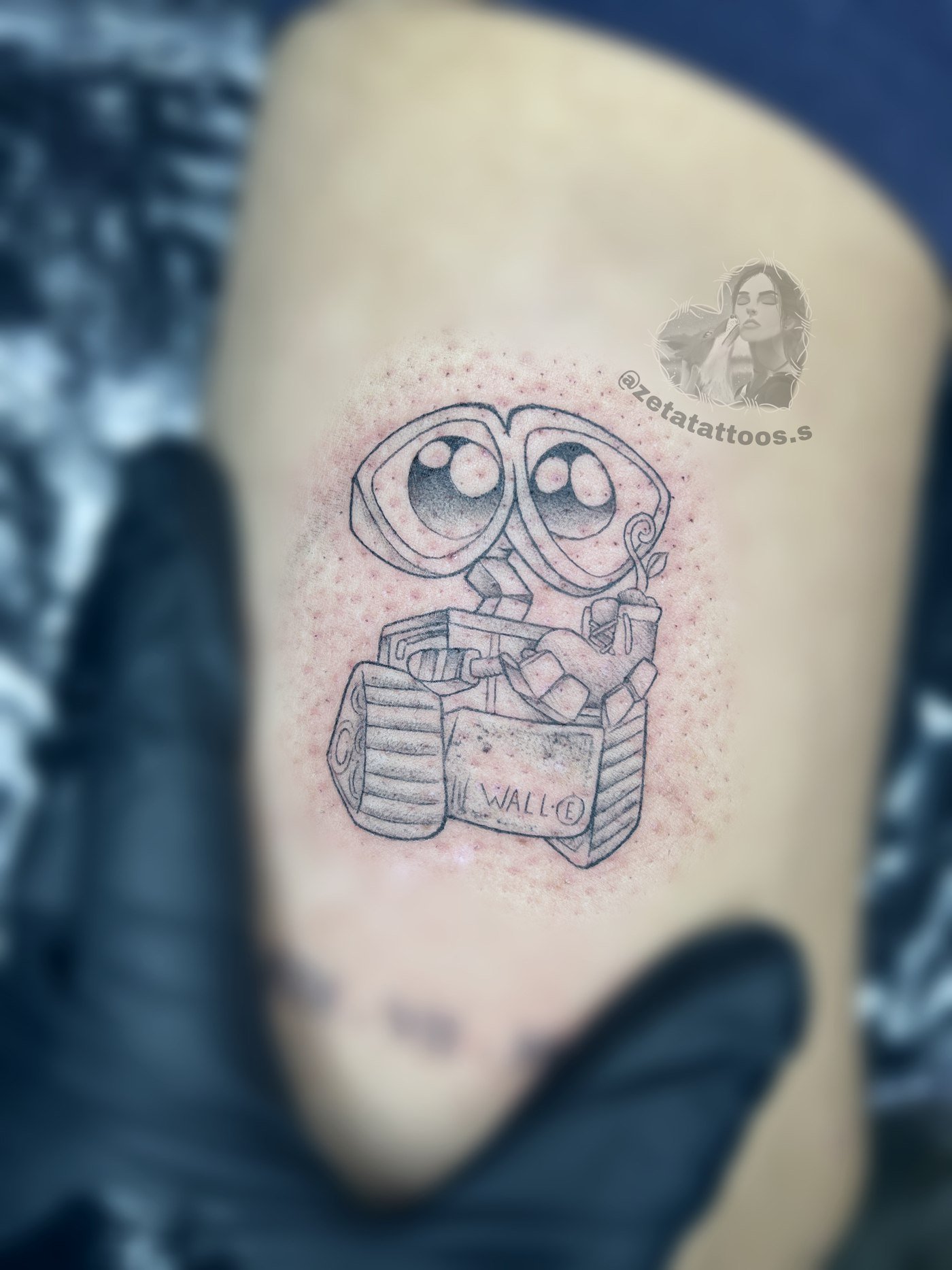 WALL-E